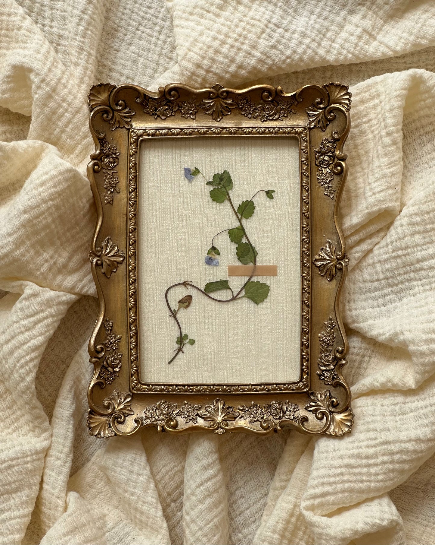 Pressed Floral no. 01