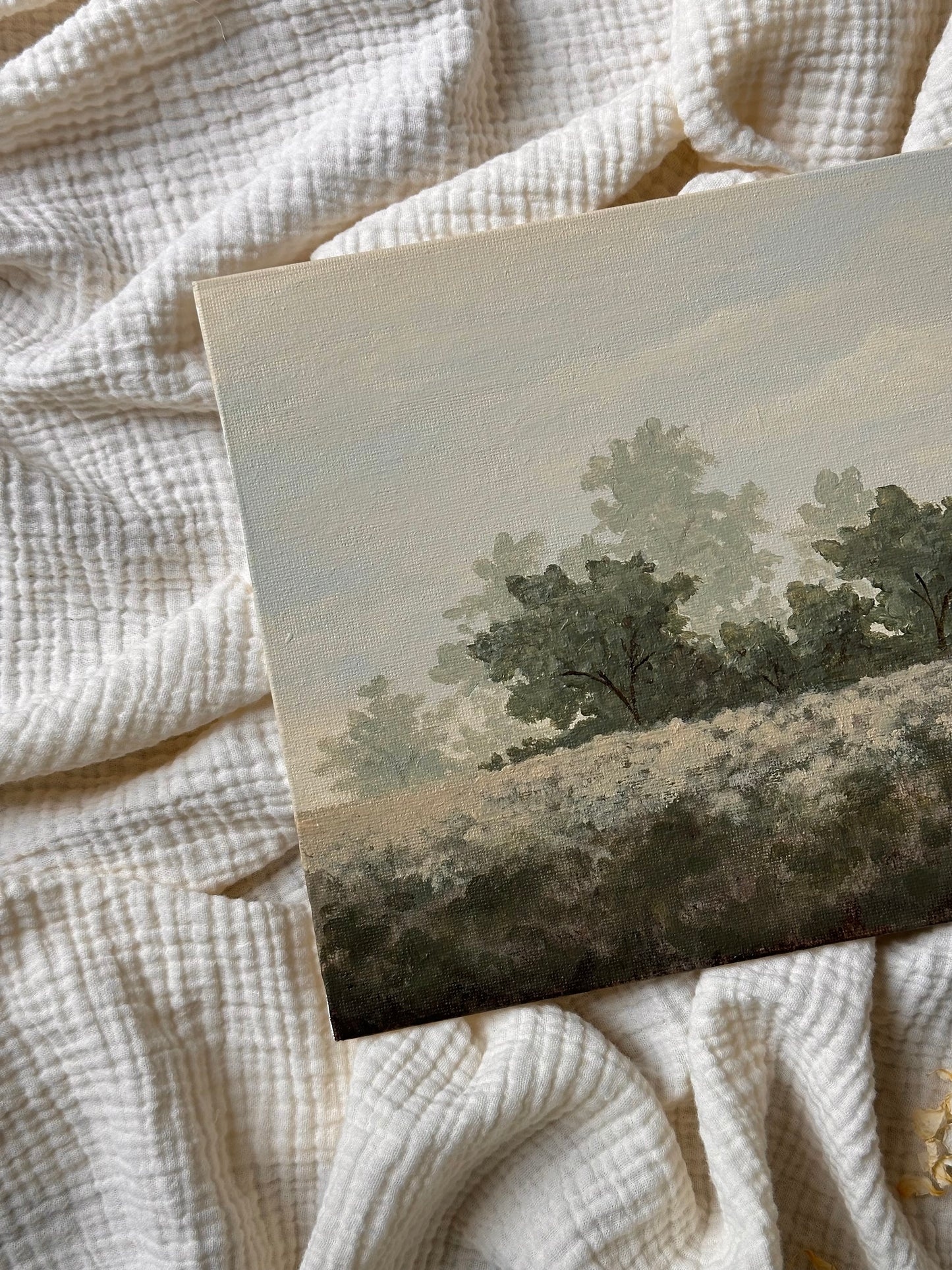 Find Me In The Trees