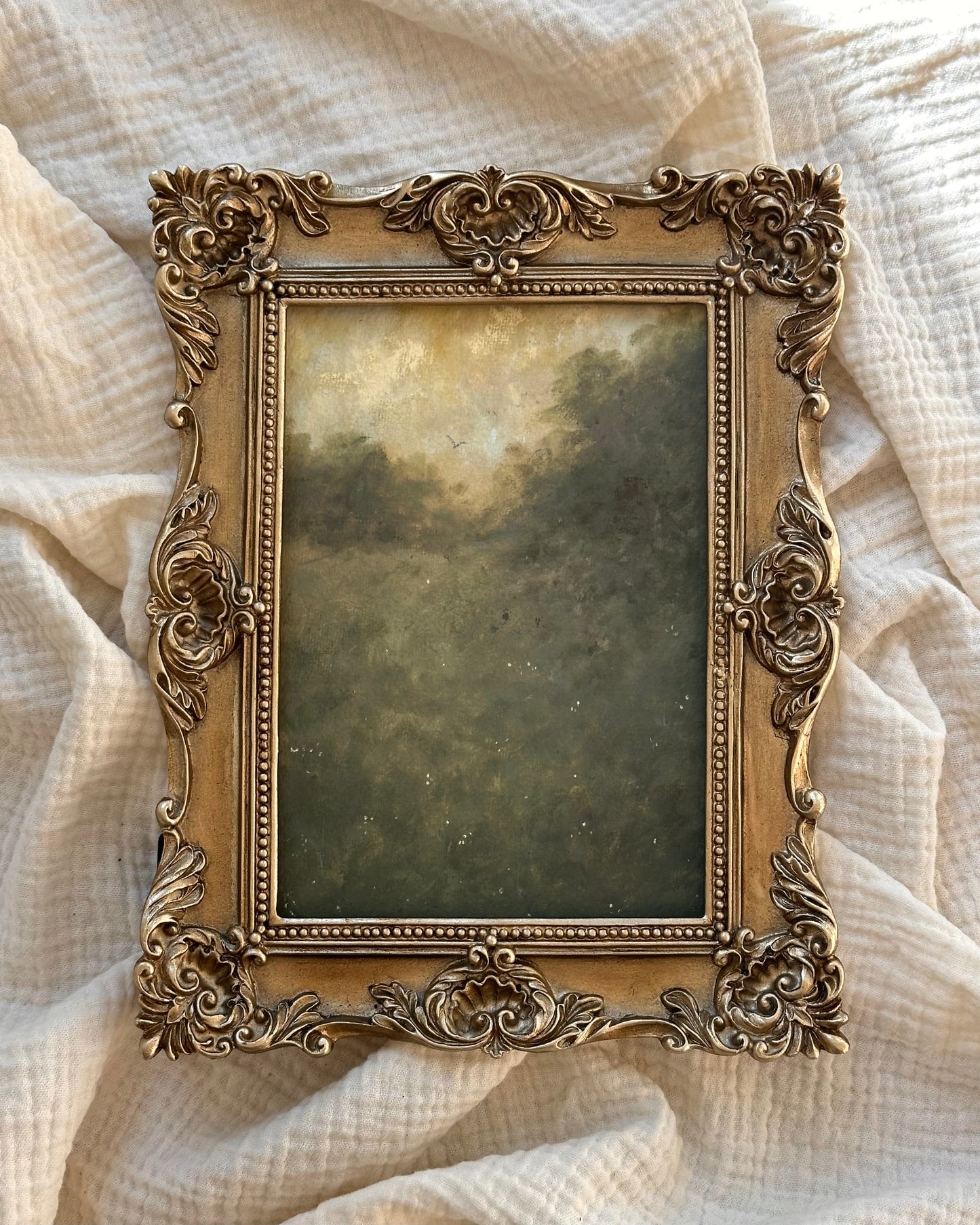 Where the Light Meets the Leaves - Fine Art Print