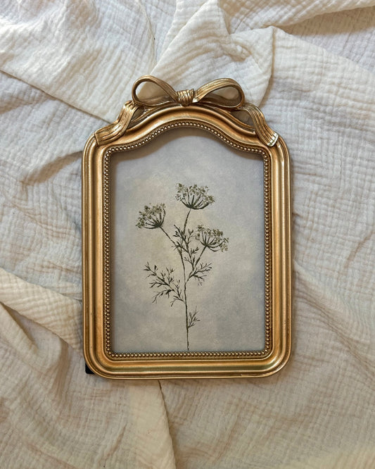 Framed Print no. 04