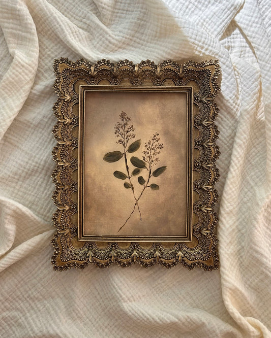 Framed Print no. 21