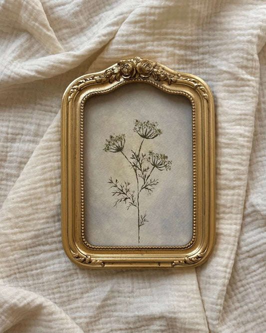 Framed Print no. 47