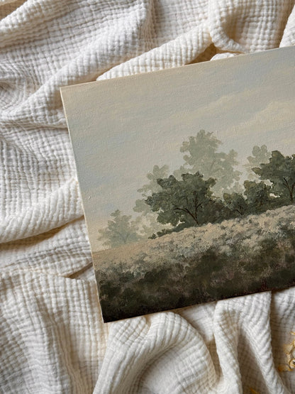 Find Me In The Trees